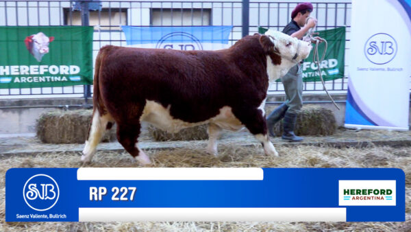 BOX 844 - RP X227