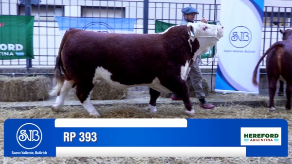 BOX 835 - RP X393