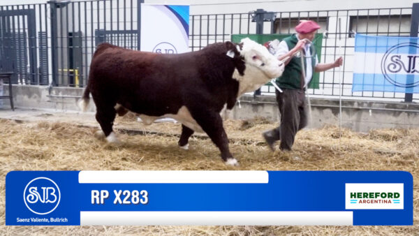 BOX 845 - RP X283