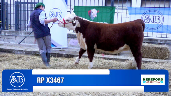 BOX 874 - RP X3467